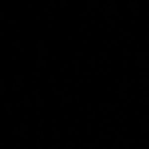 Meet your Posher, Savannah